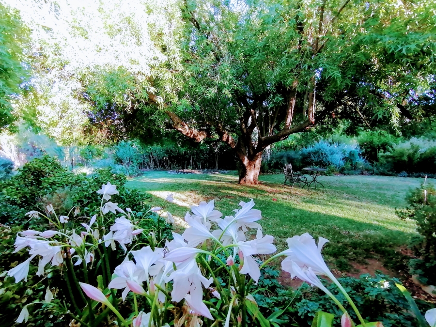 3 Bedroom Property for Sale in Barrydale Western Cape